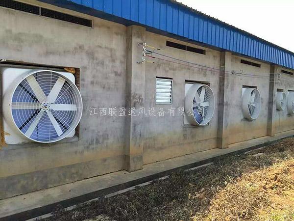 江西負(fù)壓風(fēng)機(jī),廠房通風(fēng)降溫,通風(fēng)降溫工程
